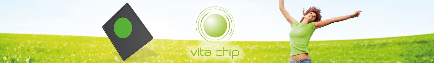Vita Chip